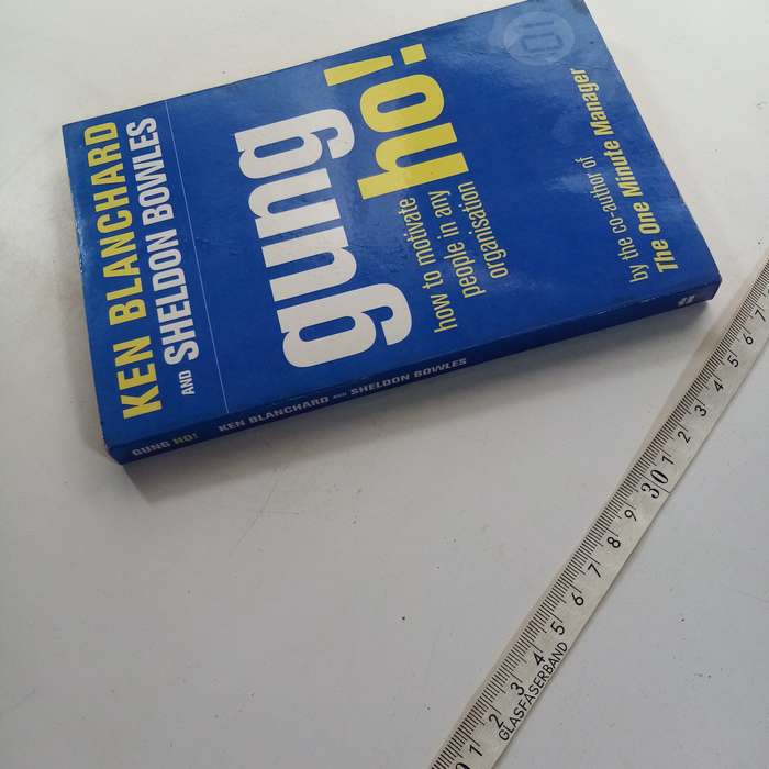 Gung Ho!: Increase Productivity, Profits and Your Own Prosperity