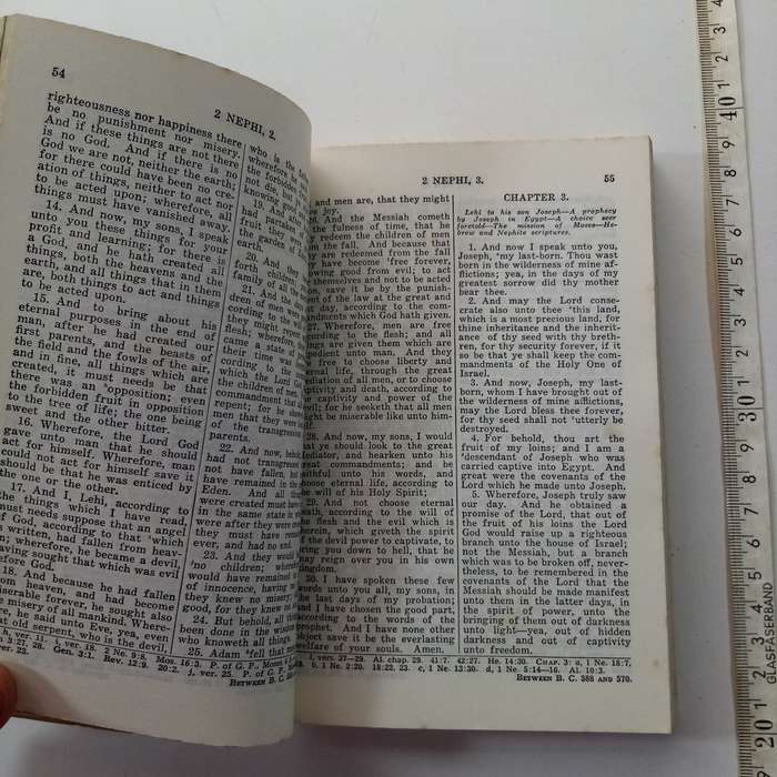 The Book of Mormon  Religious Text