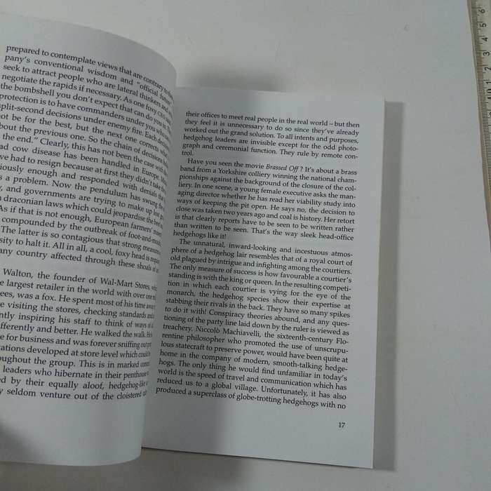 The Mind of a Fox  Chantell Ilbury (Paperback)