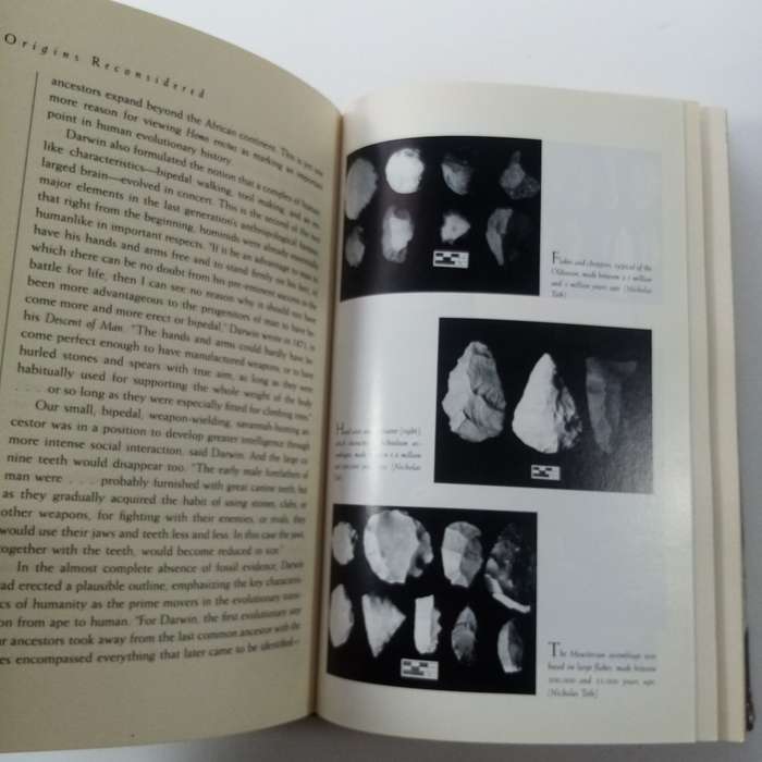 Origins Reconsidered by Richard Leakey & Roger Lewin  Human Evolution & Anthropology