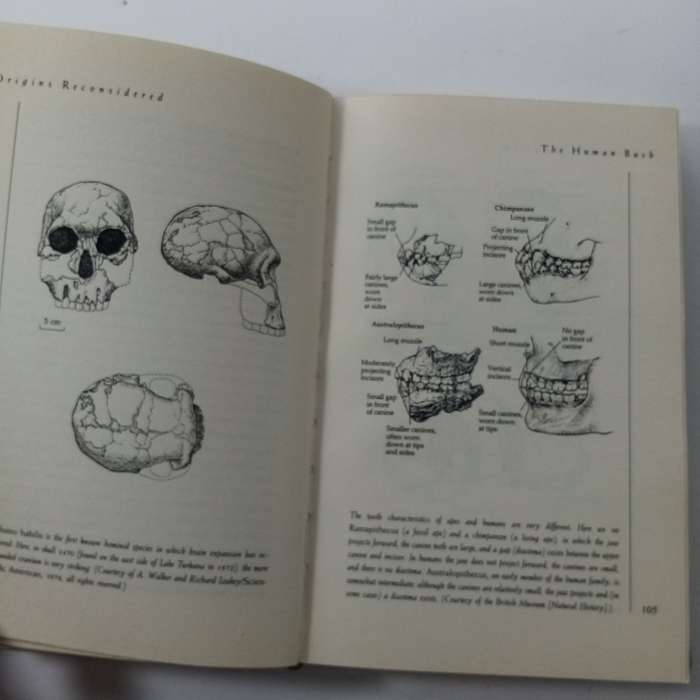 Origins Reconsidered by Richard Leakey & Roger Lewin  Human Evolution & Anthropology