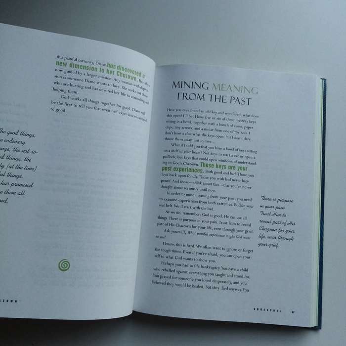 Chazown by Craig Groeschel  Discover Purpose, Passion & Gods Vision for Your Life (With DVD)