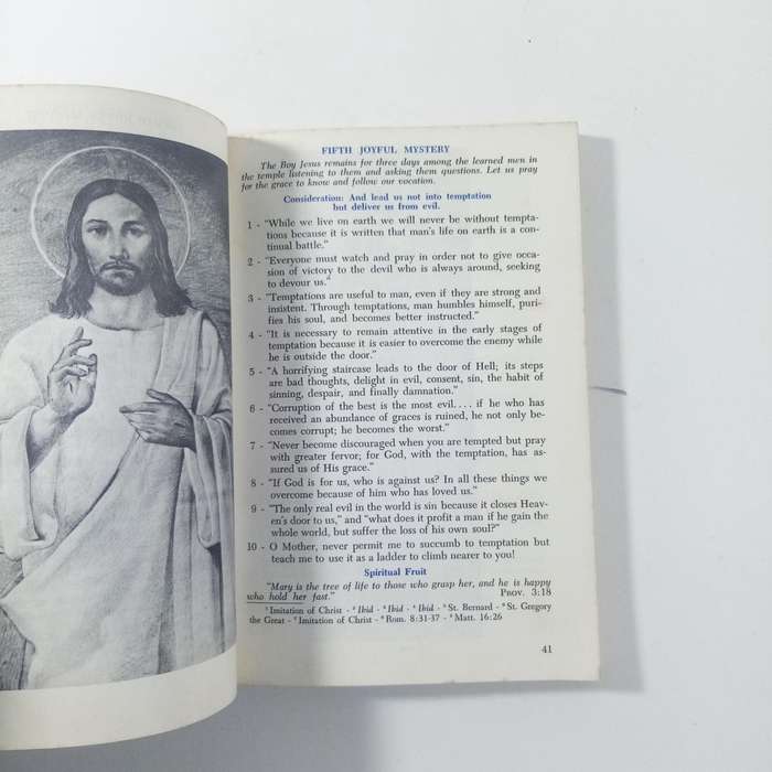 Ten Series of Meditations on the Rosary by John Ferraro | Catholic Prayer Devotional Guide