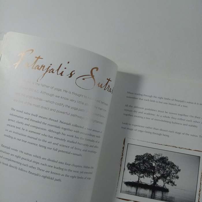 The Spirit of Yoga  Cat de Rham & Michèle Gill | 8 Limbs of Yoga, Illustrated Guide