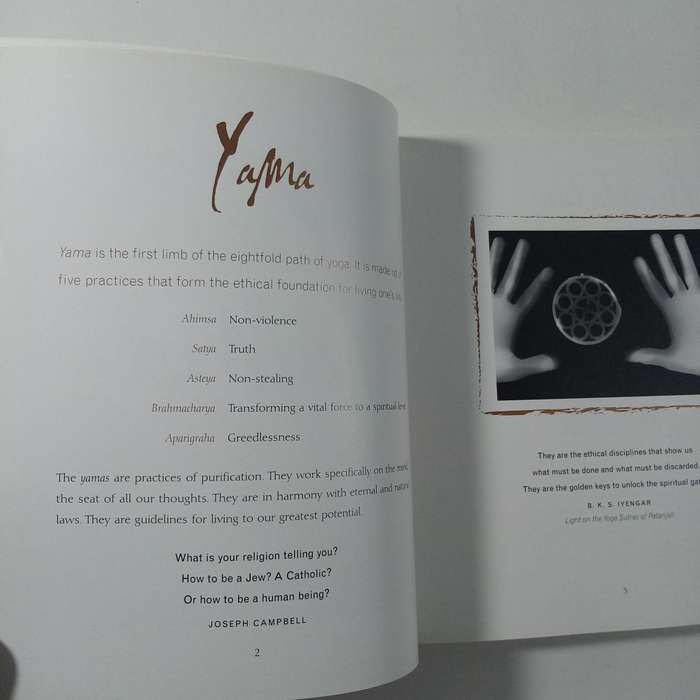 The Spirit of Yoga  Cat de Rham & Michèle Gill | 8 Limbs of Yoga, Illustrated Guide
