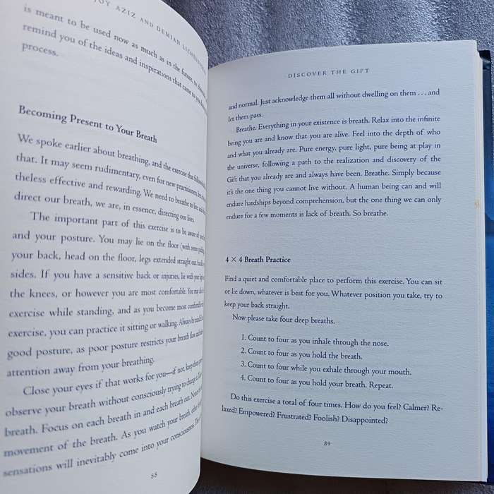 Discover the Gift by Demian Lichtenstein & Shajen Joy Aziz | Purpose, Spiritual Gifts Guide