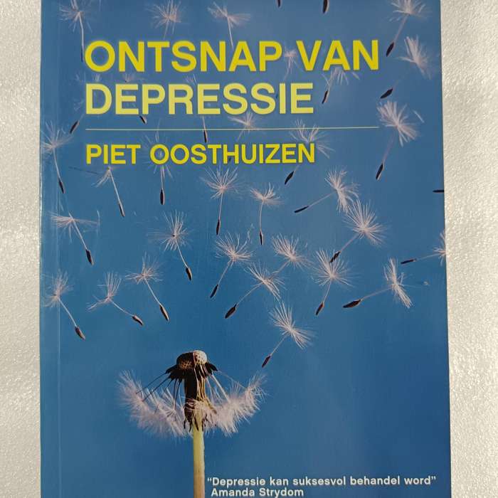 Ontsnap van Depressie deur Piet Oosthuizen | Afrikaanse selfhelp, geestesgesondheid