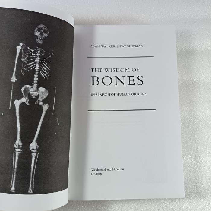 The Wisdom of the Bones by Alan Walker & Pat Shipman | Homo erectus, Nariokotome Boy Insight