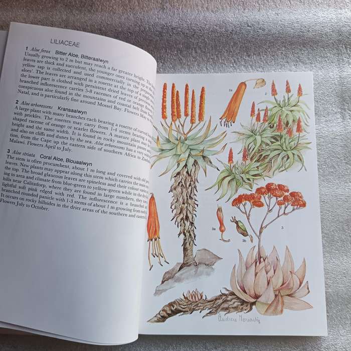 Outeniqua, Tsitsikamma & Eastern Little Karoo by Audrey Moriarty | South African Wild Flower Guide 2