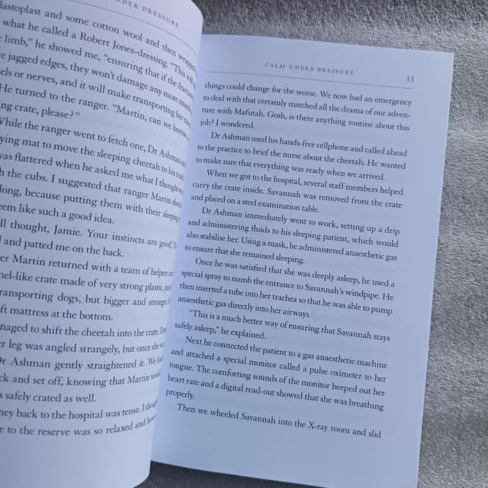 Jamie James and the Curse of the Ancestors by Roy Aronson | Teen Adventure, African Mysticism