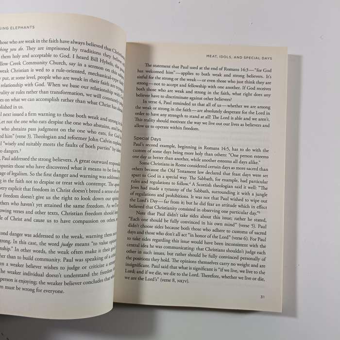 Chasing Elephants by Brent Crowe | Christian Ethics, Gray Areas, Teen & Young Adult Faith