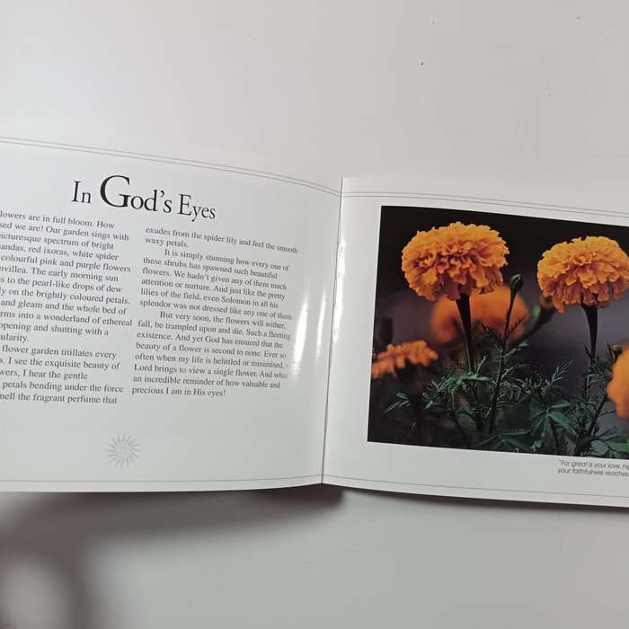 A Ray of Hope by Daniel T.S. Kon | Christian Inspiration, Faith, Encouragement, Devotional