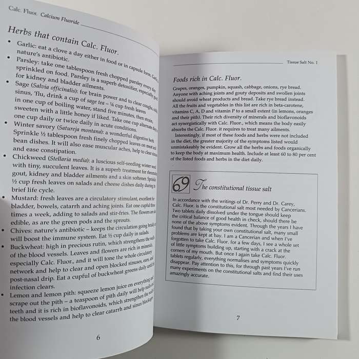 Tissue Salts for Healthy Living by Margaret Roberts | AZ Guide to Biochemic Cell Salts
