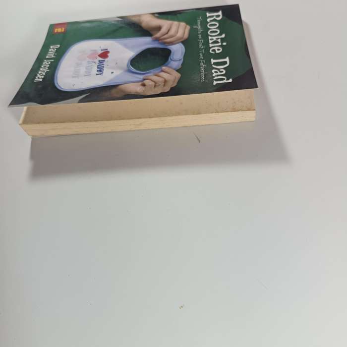 Rookie Dad: Thoughts on FirstTime Fatherhood by David Jacobsen | Honest Fatherhood Memoir