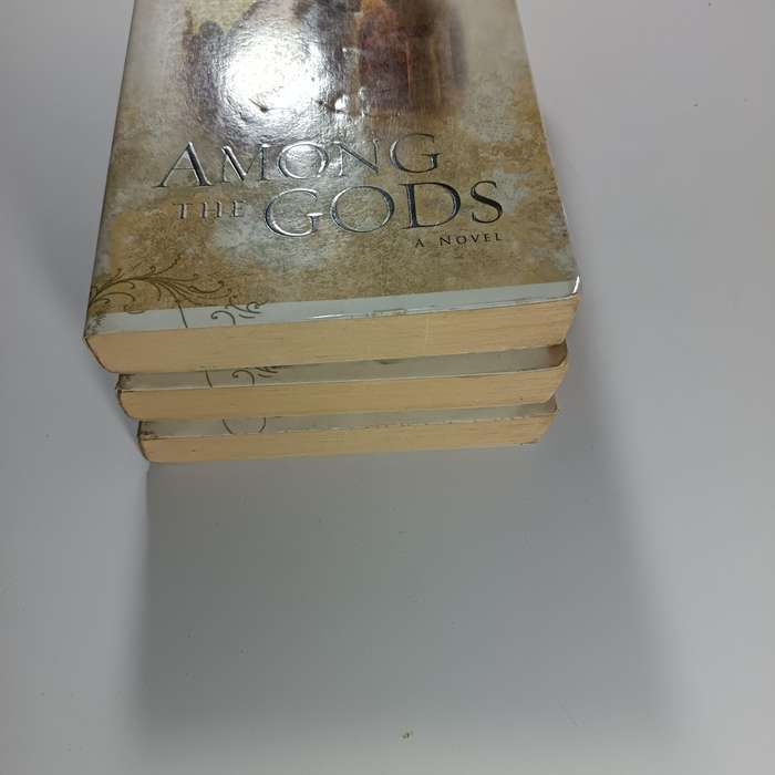 Gods & Kings Trilogy Bundle by Lynn Austin | Chronicles of the Kings Series (3 Volumes