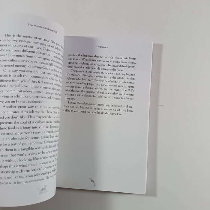 The Monkey and the Fish by Dave Gibbons | Third-Culture Church, Leadership, Missional Living