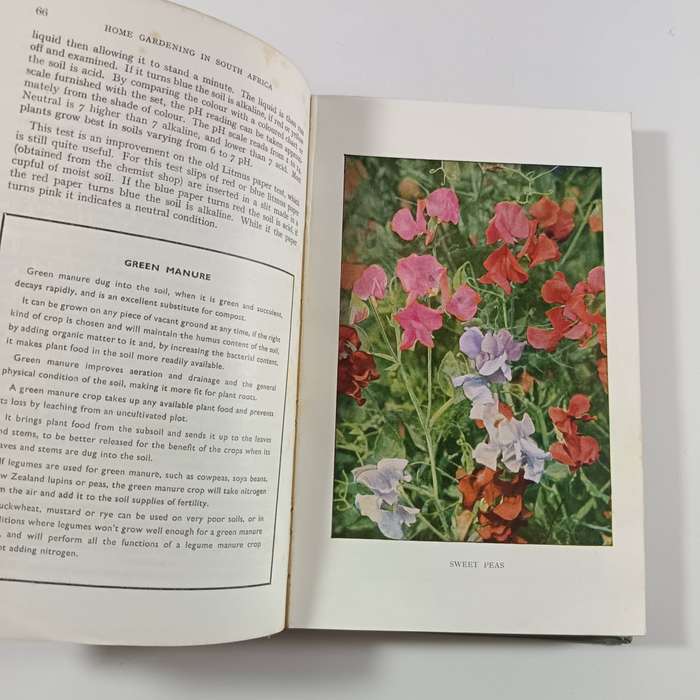 Home Gardening in South Africa by Charles W. Smith | 1947 Fourth Edition, Hardcover, Vintage Guide