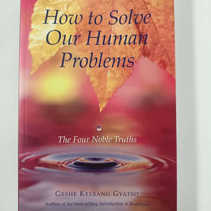 How to Solve Our Human Problems  Kelsang Gyatso | Applying the Four Noble Truths