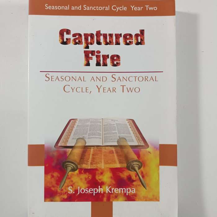 Captured Fire New Daily Homilies Year Two by S. Joseph Krempa  Practical Daily Reflections