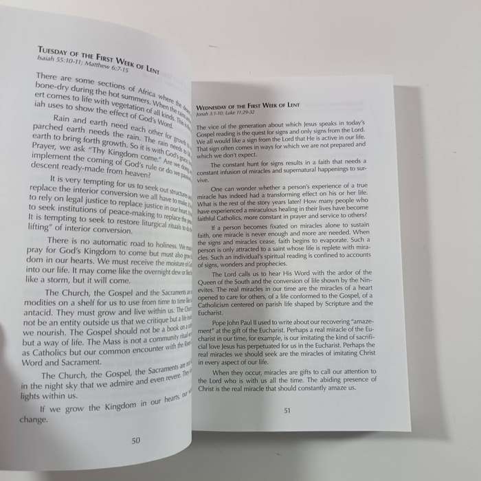 Captured Fire New Daily Homilies Year Two by S. Joseph Krempa  Practical Daily Reflections