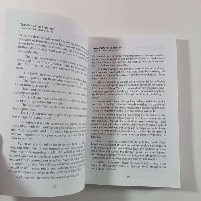 Captured Fire New Daily Homilies Year Two by S. Joseph Krempa  Practical Daily Reflections