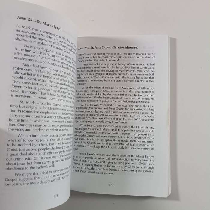 Captured Fire New Daily Homilies Year Two by S. Joseph Krempa  Practical Daily Reflections