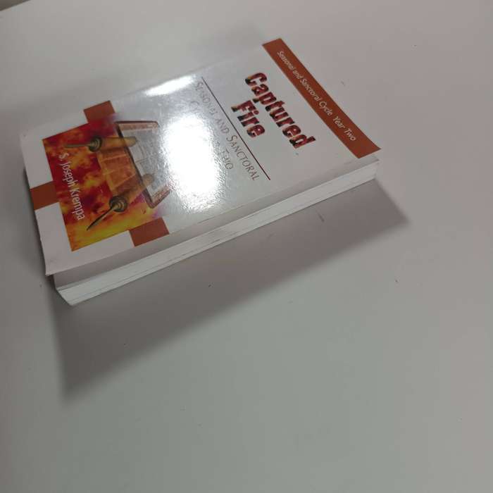 Captured Fire New Daily Homilies Year Two by S. Joseph Krempa  Practical Daily Reflections