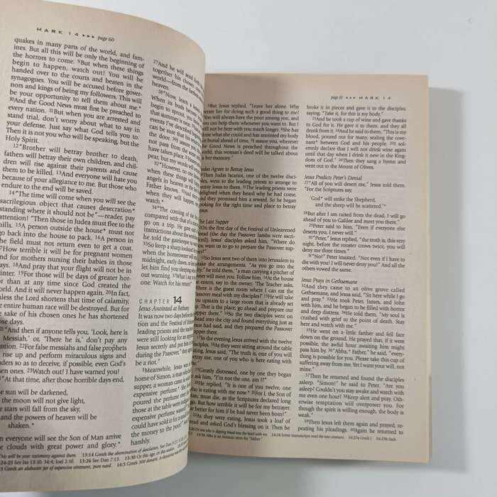 Silver Ring Thing Abstinence Study Bible  Teen Purity & Faith Resource