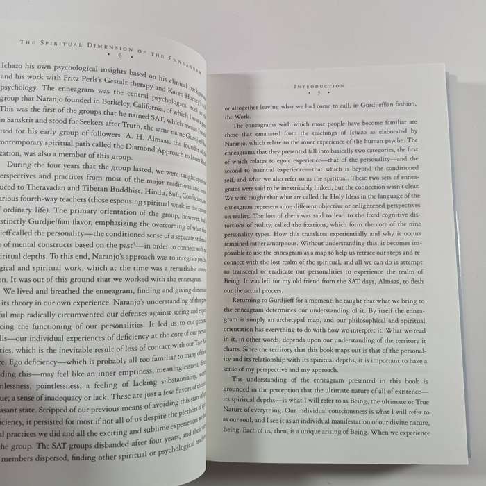 The Spiritual Dimension of the Enneagram by Sandra Maitri | Nine Faces of the Soul