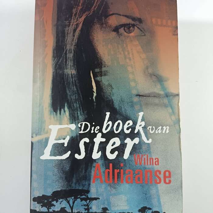 Die Boek Van Ester by Wilna Adriaanse | Afrikaanse Roman, Politieke Intrige, Liefde