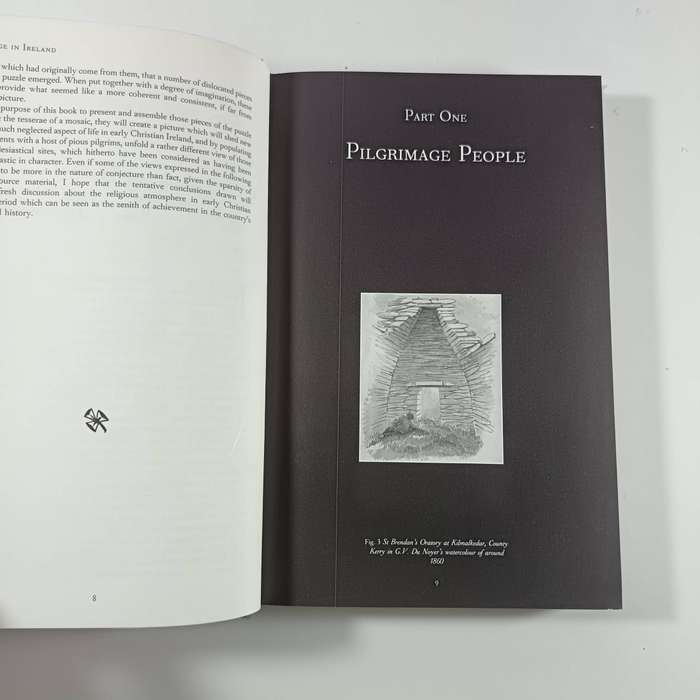 Pilgrimage in Ireland by Peter Harbison | Historic Sites, Faith & Travel