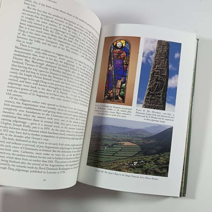 Pilgrimage in Ireland by Peter Harbison | Historic Sites, Faith & Travel