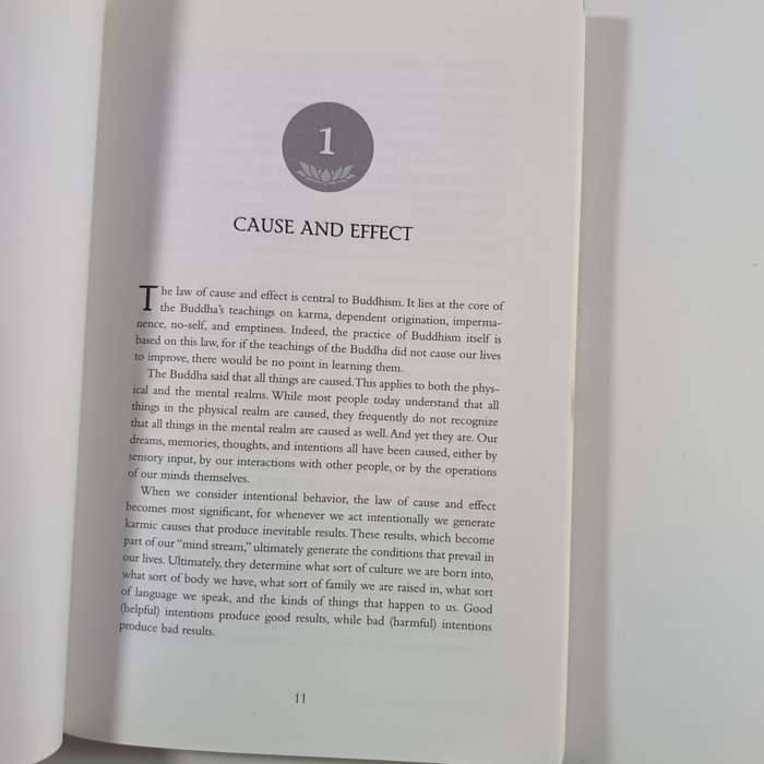 Buddhism Core Ideas by Hsing Yun | Fundamental Teachings & Practices