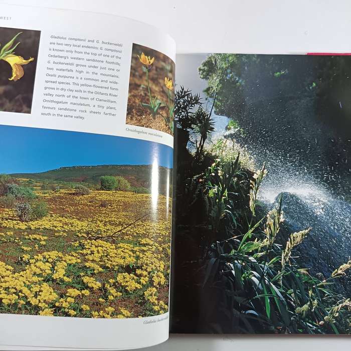 The Cape Floral Kingdom by Colin Paterson-Jones | South African Wildflowers & Biodiversity