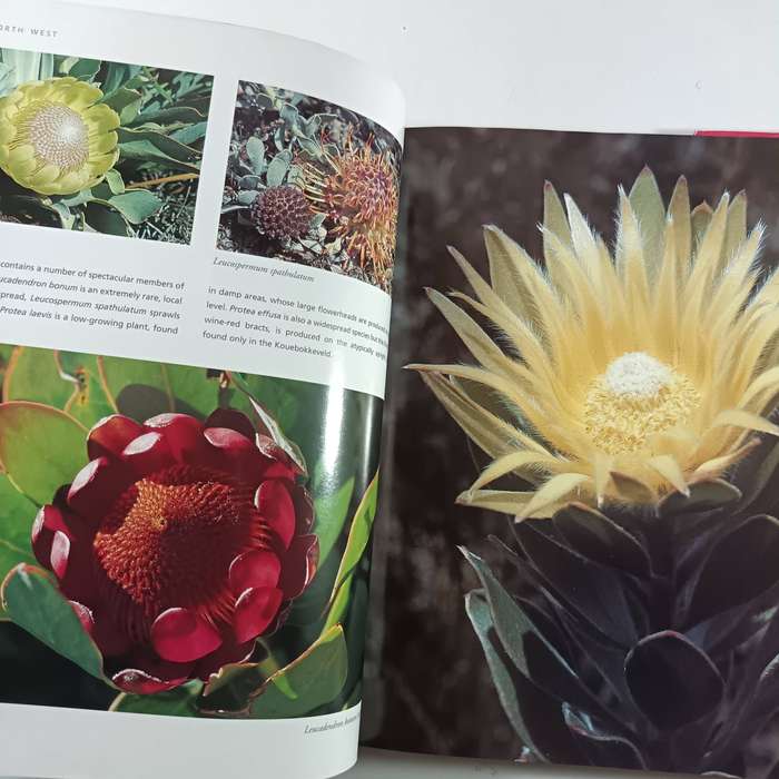 The Cape Floral Kingdom by Colin Paterson-Jones | South African Wildflowers & Biodiversity