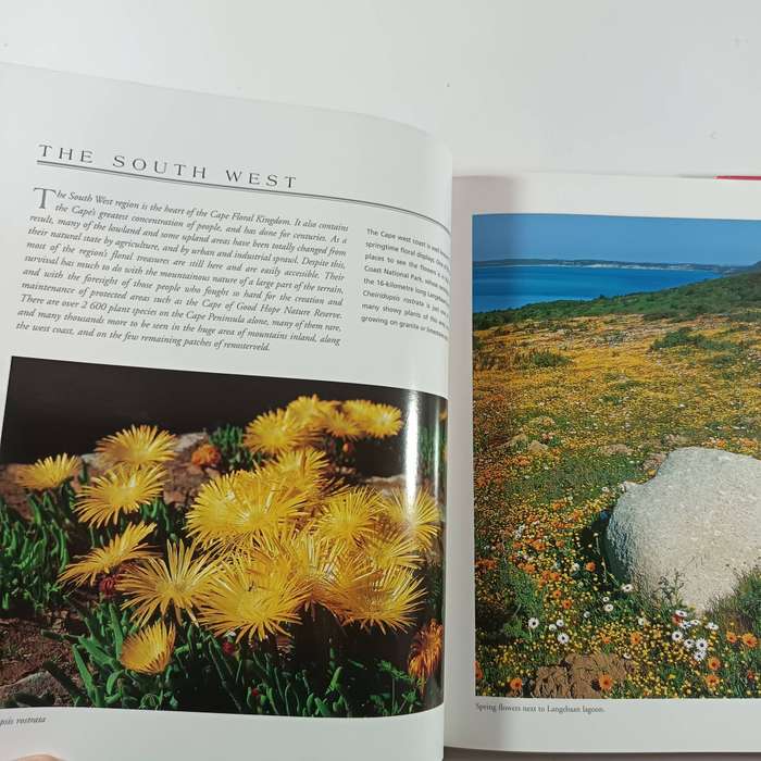 The Cape Floral Kingdom by Colin Paterson-Jones | South African Wildflowers & Biodiversity