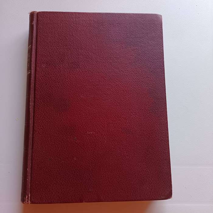 Die Bybel vir Kinders in Kleur | 1943 Uitgawe | Mark Preston | Afrikaanse Kinderbybel