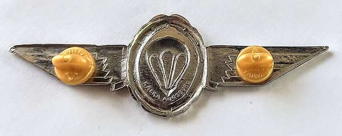 German Federal Rep. Parabat wing class 2. 1966-1983. 2 Pins.