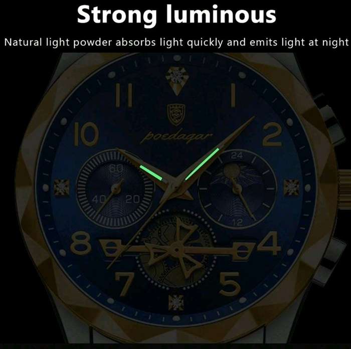 LIMITED EDITION Poedagar mens luxury watch