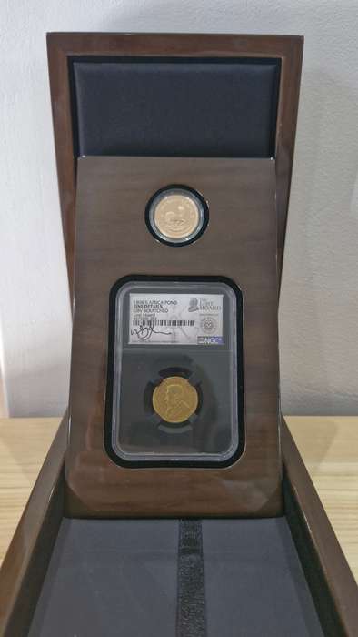 The Lost Hoard 1/4 gold Krugerrand & ZAR Pond