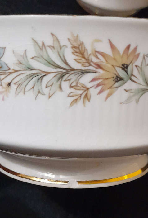 Paragon Belinda Fine Bone China 14 Piece Set