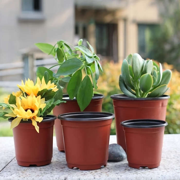 10-Pack Seedling Pots
