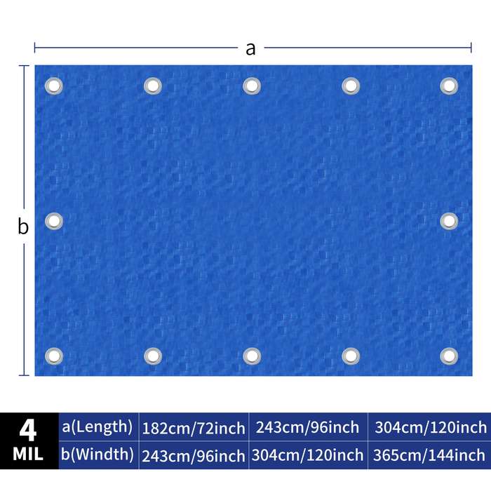1  Blue Tarp