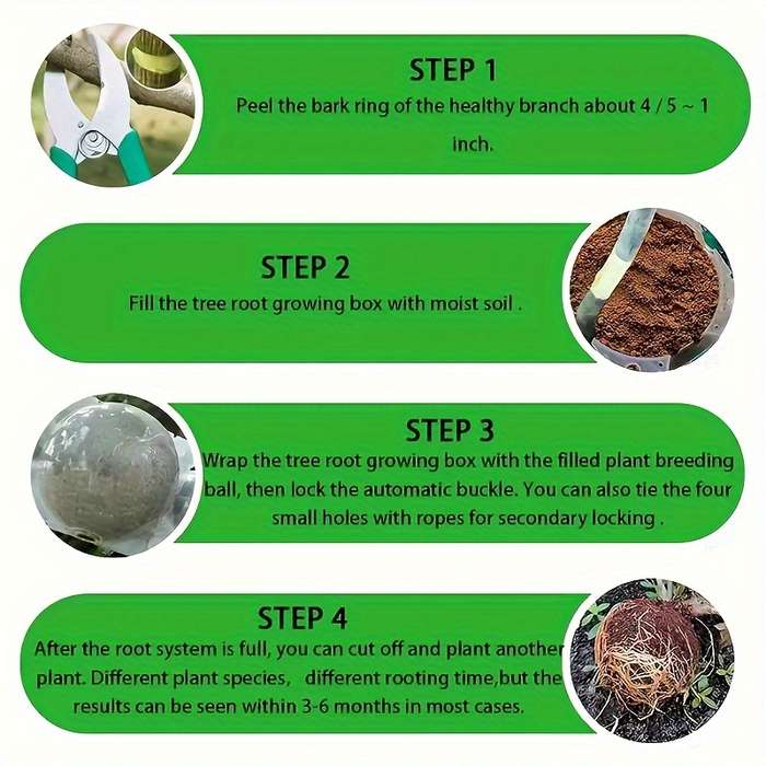 10-Piece Plant Root Growth Box
