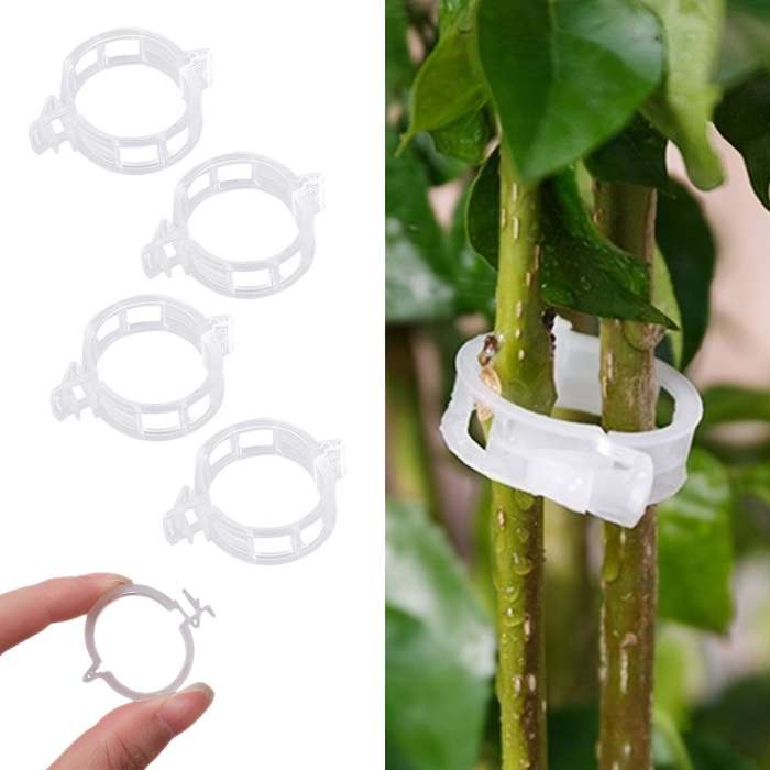 150pcs Tomato Clips