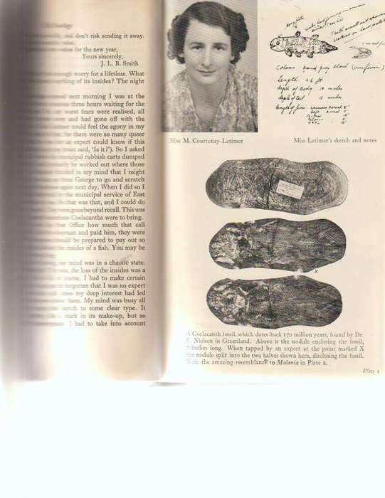 OLD FOURLEGS, THE STORY OF THE COELACANTH by J.L.B. SMITH