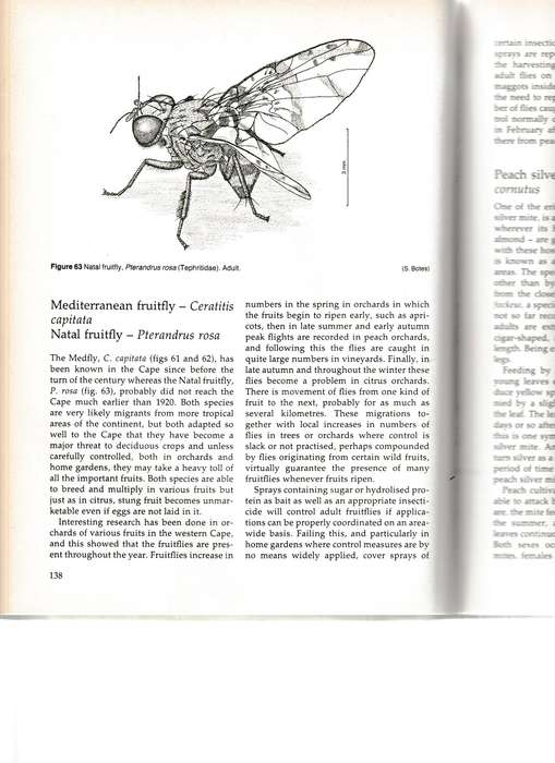 INSECTS AND MITES OF CULTIVATED PLANTS IN SOUTH AFRICA