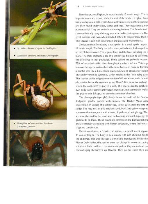 A LANDSCAPE OF INSECTS AND OTHER INVERTEBRATES