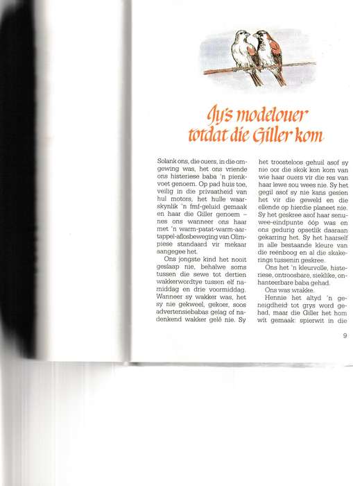DIE NES WAT ONS BOU deur MARETHA MAARTENS
