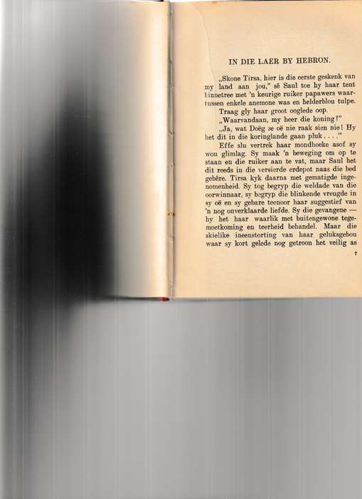 SAUL DIE WORSTELHELD deur D.F. MALHERBE